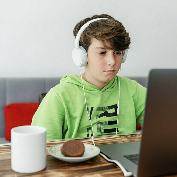child during online English and German language course